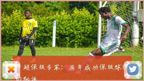中超保级专家：历年成功保级球队的秘诀